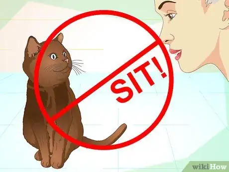 Image titled Teach Your Cat to Do Tricks Step 6