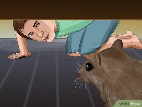 Image titled Catch a Gerbil on the Loose Step 3