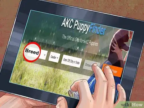 Image titled Find an AKC Puppy Step 2
