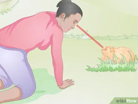 Image titled Approach a Sick or Injured Dog or Cat Step 7