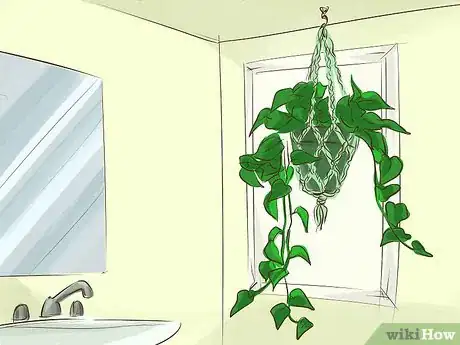 Image titled Choose Houseplants for the Bathroom Step 12