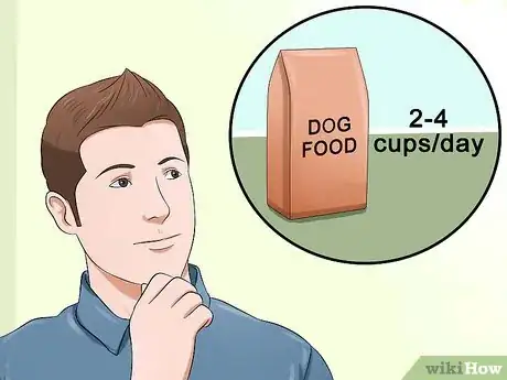 Image titled Care for Shelties Step 6