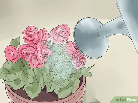 Image titled Grow Begonias Step 7