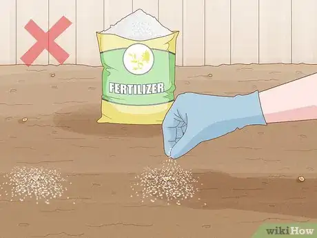 Image titled Sow Yellow Rattle Step 8