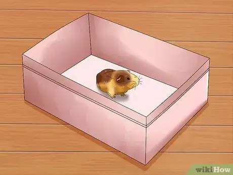 Image titled Make a Room Hamster Friendly Step 15