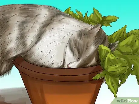 Image titled Give Cat Grass to a Cat Step 17