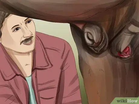 Image titled Prevent Botulism in Horses Step 8