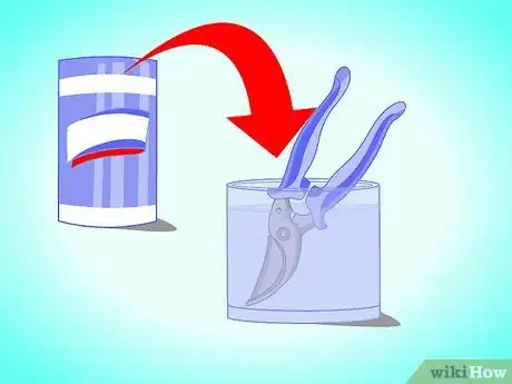 Image titled Transplant a Jade Plant Step 8