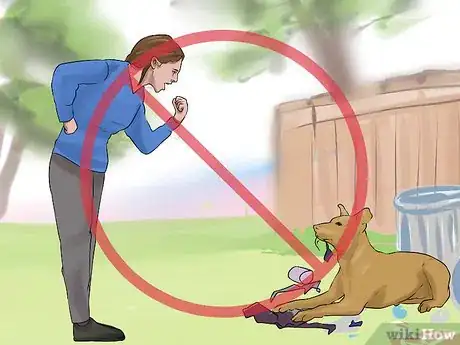 Image titled Encourage Your New Dog to Listen to You Step 8