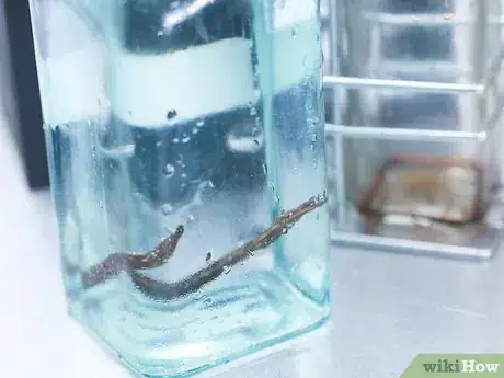 Image titled Make Vanilla Extract Step 5