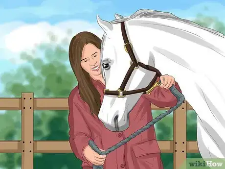 Image titled Put a Lead Rope on a Horse Step 13