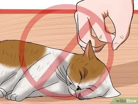 Image titled Resolve Cat Litter Tray Issues Step 11