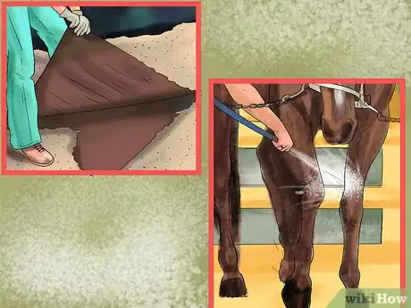 Image titled Treat External Horse Parasites Step 12