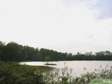 Image titled Survive in the Woods without Hunting Step 3