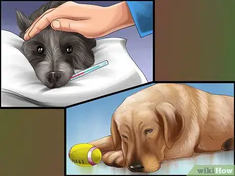 Image titled Keep Ticks from Your Dogs Step 12