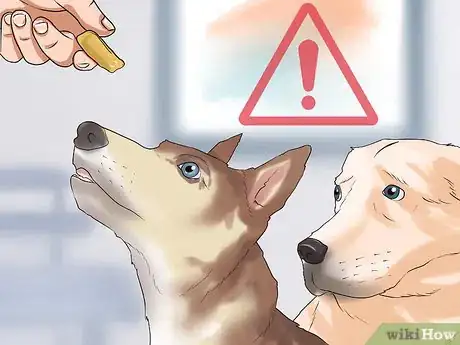 Image titled Socialize a New Dog with Your Family Step 12