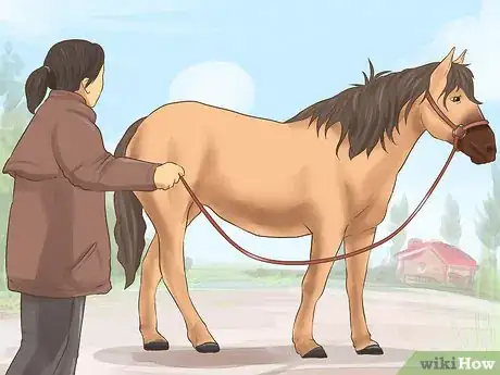 Image titled Feed Your Horse During Show Season Step 4
