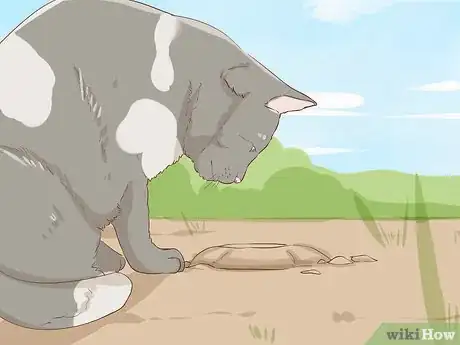 Image titled Get Rid of Garden Moles Step 10