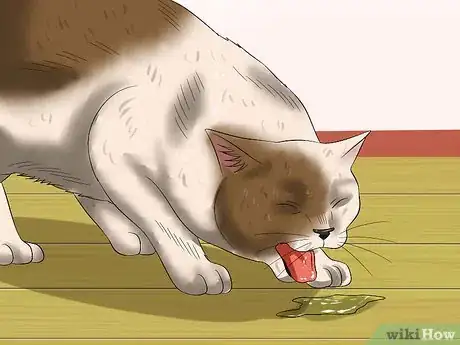 Image titled Diagnose Heartworm Disease in Cats Step 3