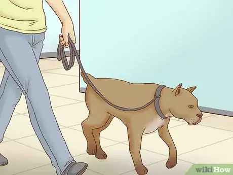Image titled Interact with a Dog Before Adopting It Step 11