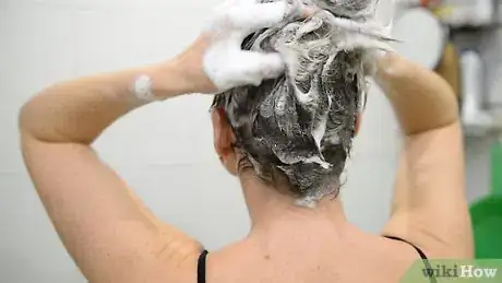 Image titled Blow Dry Hair Step 1