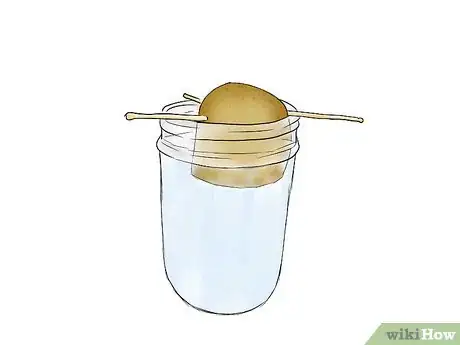 Image titled Grow Sweet Potatoes Step 4