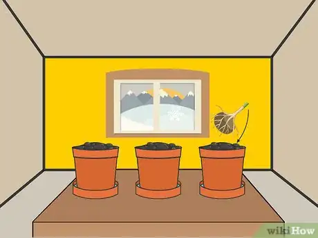 Image titled Plant Begonia Bulbs Step 03