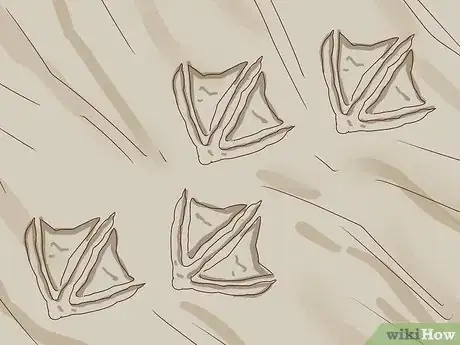 Image titled Identify Animal Tracks Step 13