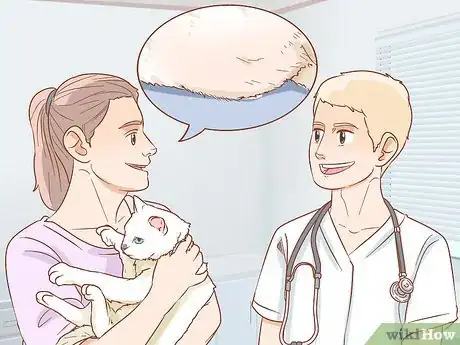 Image titled Tell if a Cat is Pregnant Step 7