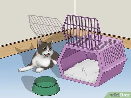 Image titled Avoid Losing Your Cat Step 1