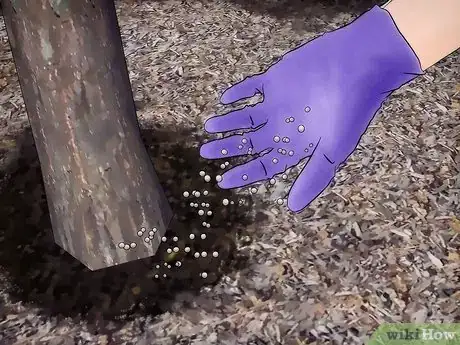 Image titled Grow Flowering Dogwood Step 17