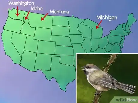 Image titled Recognize the Chickadee Step 7