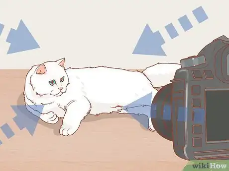 Image titled Photograph Cats Step 14