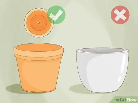 Image titled Grow Saffron Indoors Step 2