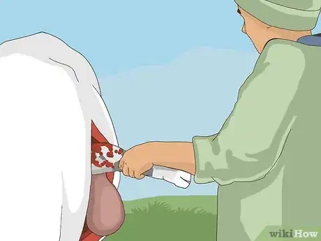 Image titled Perform a Caesarean Section on a Cow or Heifer Step 9