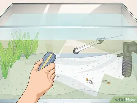 Image titled Avoid Algae in an Aquarium Step 7
