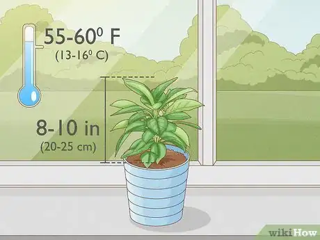 Image titled Grow Mandevillas Step 13