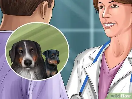 Image titled Know if Your Female Dog Is Ready to Breed Step 4