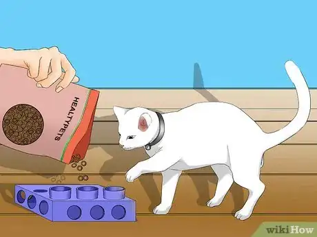 Image titled Avoid Losing Your Cat Step 14