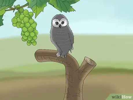 Image titled Protect Grapes from Birds Step 15