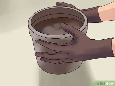 Image titled Grow Begonias Step 5