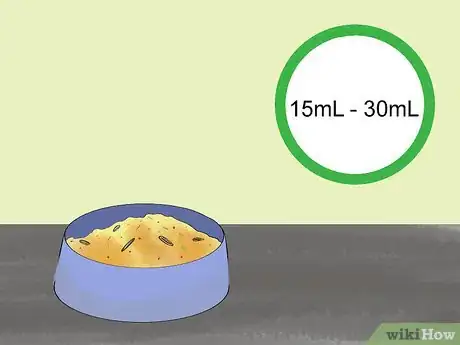 Image titled Care for a Shaw's Jird Step 9