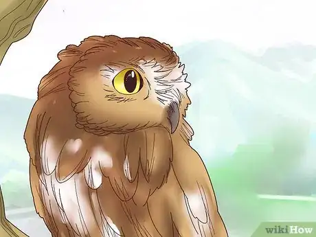Image titled Photograph Owls Step 14