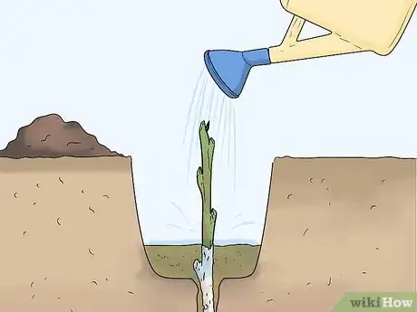 Image titled Take Hardwood Cuttings Step 12