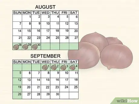 Image titled Pick Good Chestnuts Step 7