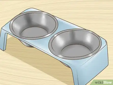 Image titled Take Care of a Ragamuffin Cat Step 1