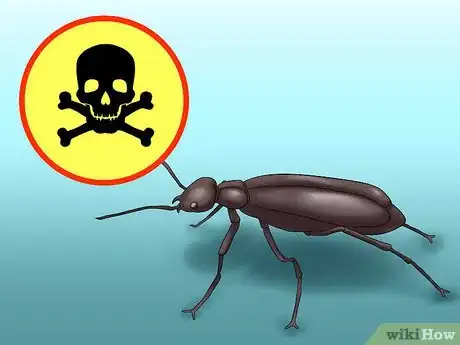 Image titled Avoid Poisoning Your Horse Step 9