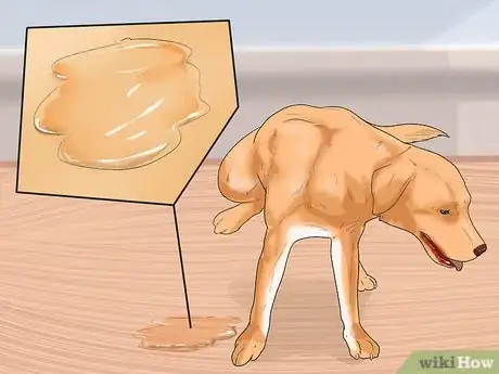 Image titled Prevent Canine Leptospirosis Step 7