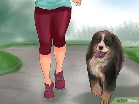 Image titled Tell if Your Older Dog Is over Exerting Itself Step 5