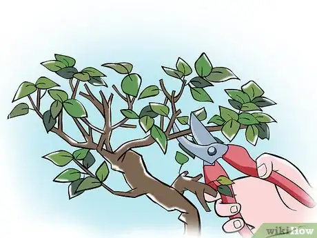 Image titled Trim a Bonsai Step 3